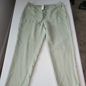 Chicos Ladies Light Green Pants